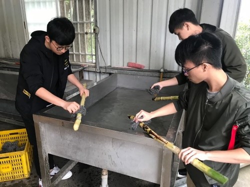 實際體驗圖片